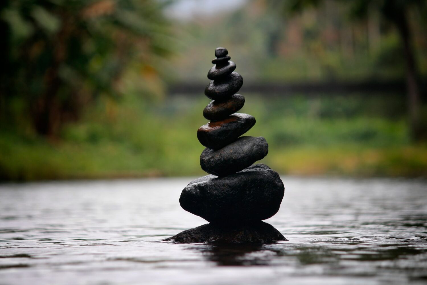 Citations zen et positives : les plus belles pour rester serein