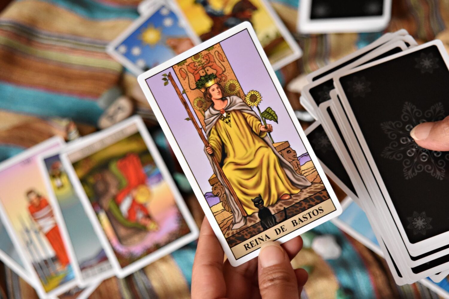 Les méditations de la reyne de coupe : rêves et réalités d&rsquo;une reine de tarot