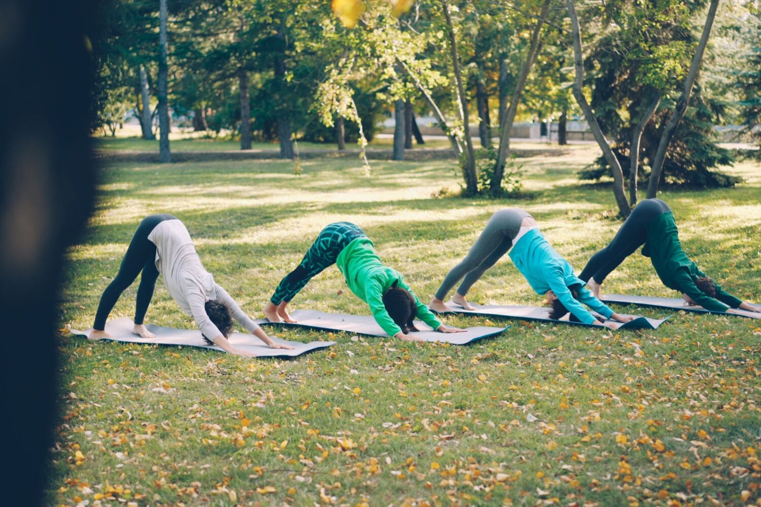Chien tête en bas : comment réussir cette posture de yoga et ses bienfaits