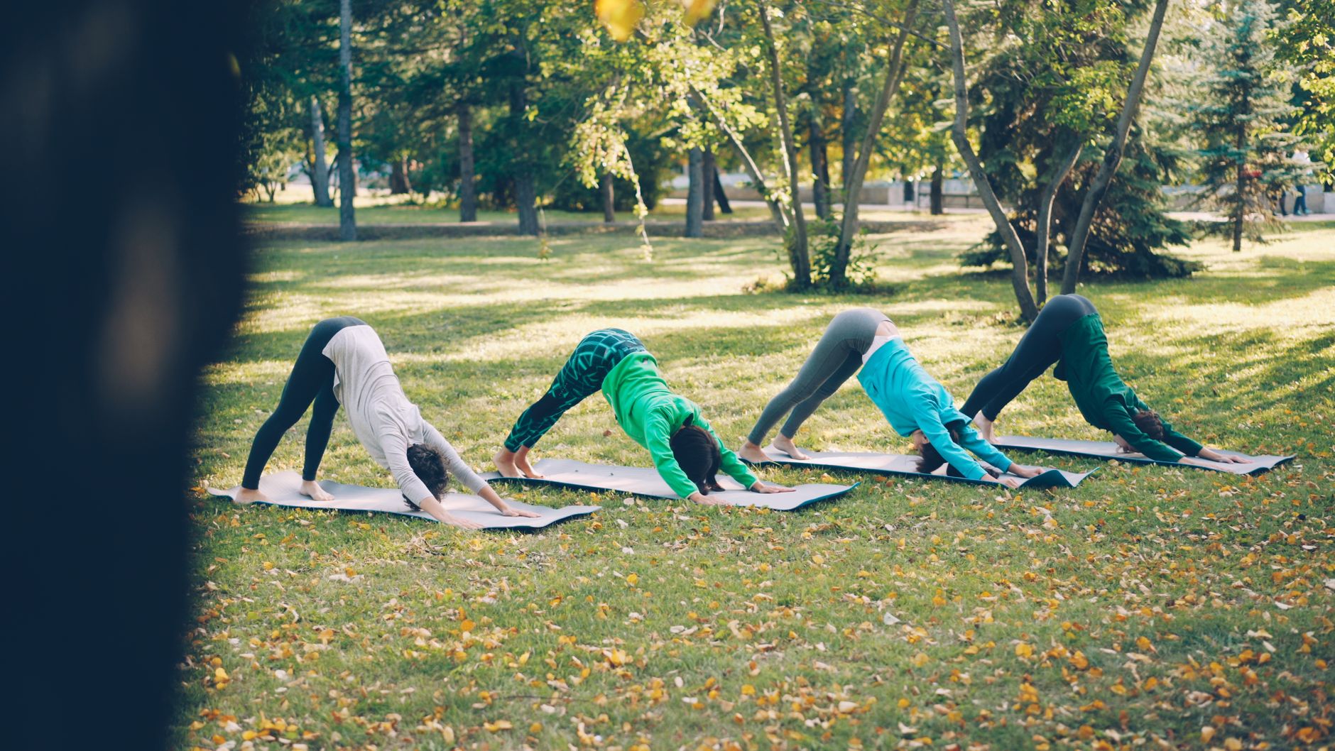 Chien tête en bas comment — posture de yoga chien tête en bas